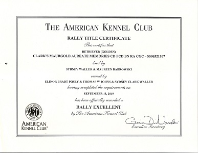 SmallPicture of Rhys's certificate